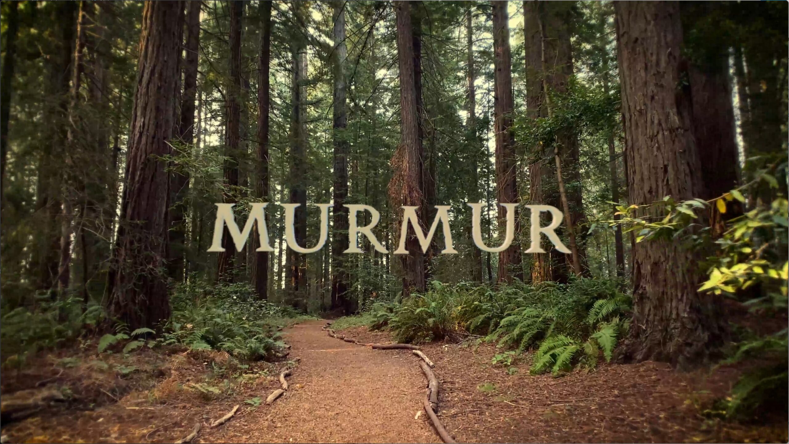 Murmur (2024)